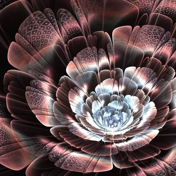 Meet your Posher, Chris - Picture 1 of 1